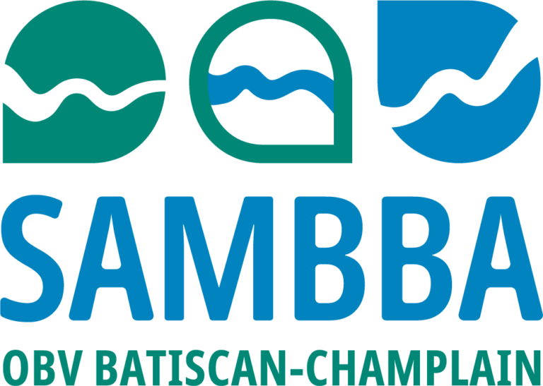 SAMBBA-LOGO-PANTONE-Coated-768x547