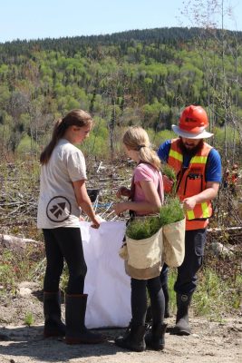 344798330_1912523849105528_6307536897810614922_n