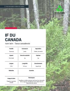 If du Canada